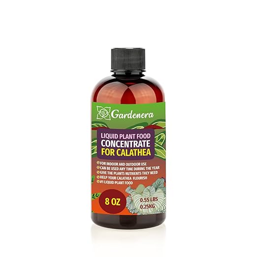 Plant Growth Superfood for CALATHEA with 18 Essential Vitamins & Minerals - Organic Plant Food Fertilizer - Micro-Fungi and Bio-Organisms for CALATHEA Plant Care & Growth Enhancement - 8oz