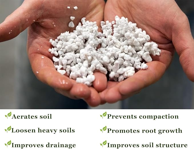 Chunky Perlite Bulk, Horticultural Pearlite Coarse Perlite for Plants Indoor, Additive Conditioner Mix, Improve Drainage and Ventilation, Help Root Growth (4-8mm, 10qt)