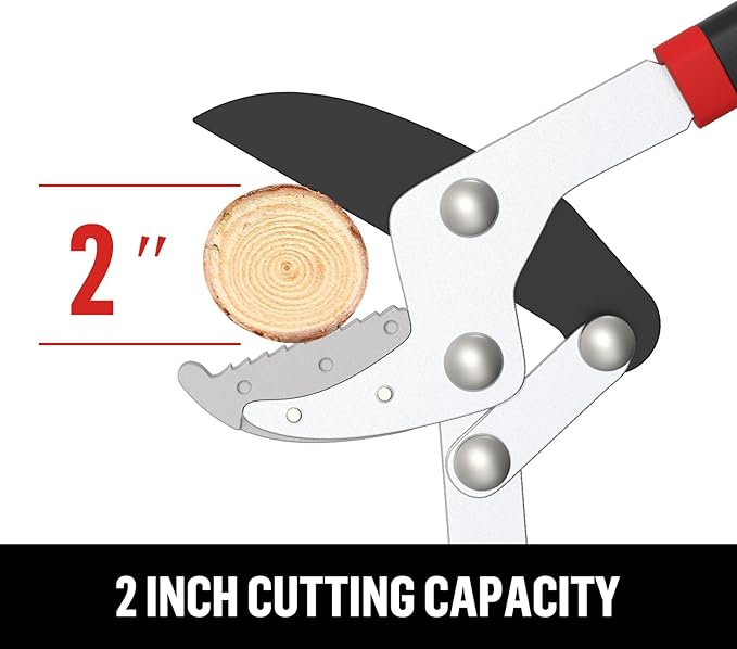 GARTOL Anvil Lopper with Compound Action 30 Inch Heavy Duty Tree Branch Cutter, 2 inch Cutting Capacity Tree Trimmer for Thick Branches Clean Cut Easy, Ergonomically Non-Slip Comfortable Handle