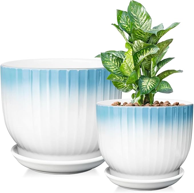 6.7 + 5.5 Inch Plant Pot, Ceramic Planter with Drainage and Saucer, Ceramic Pots for Plants, Indoor Plant pots,Ceramic Flower pots（Blue + White, Plants NOT Included）