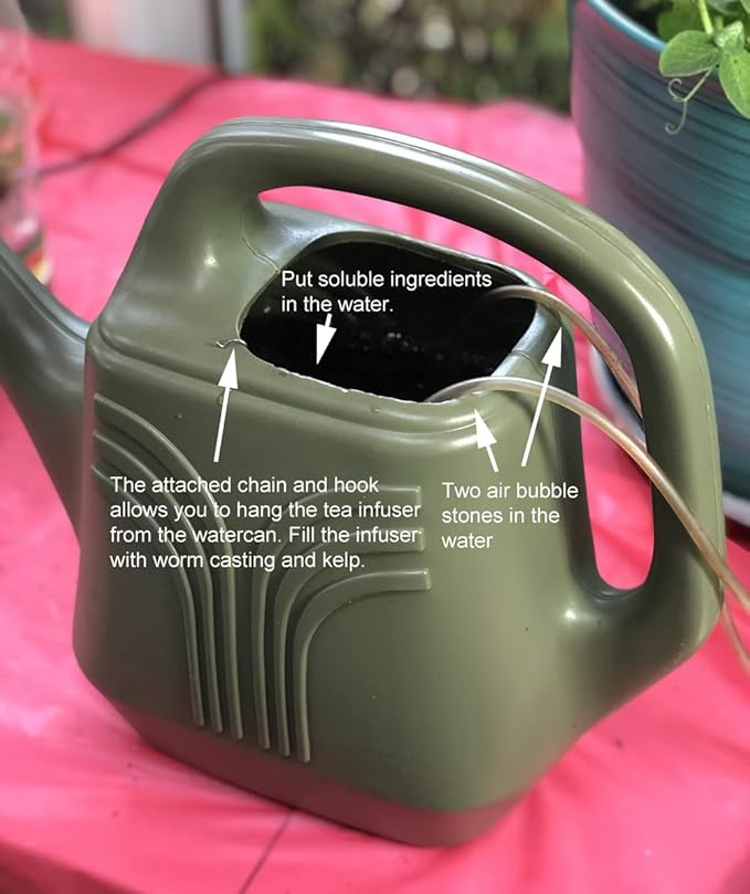 2025 EarlyBird-Pepper Seeds for Planting, Green and Red Bell Pepper Seeds, Non-GMO Heirloom Seeds Vegetable Seeds for Home Vegetable Garden and Hydronic Pods.USA (50ct Jalapeno Hot Pepper Seeds)