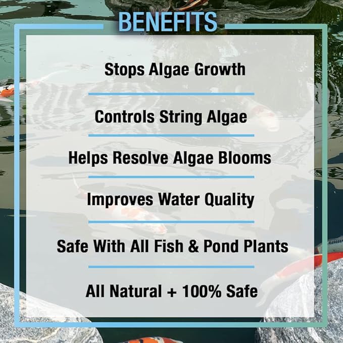 MICROBE-LIFT ALGAGAL Algaway 5.4 Algae Control Treatment for Ponds and Water Gardens, Safe for Koi Fish, Goldfish, Plants, and Decorations, 1 Gallon