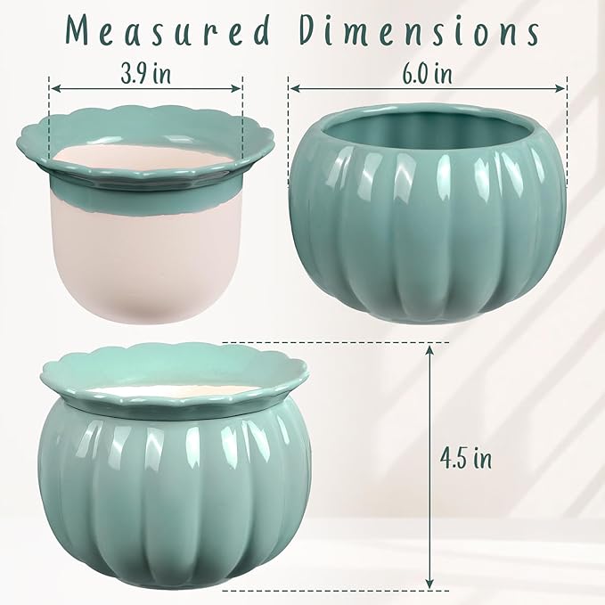 Self-Watering Ceramic Planter for Indoor Plants – 6 Inch Pot for Succulents, Herbs & Small Houseplants, Decorative Self-Watering Pot for Home & Office, Blue