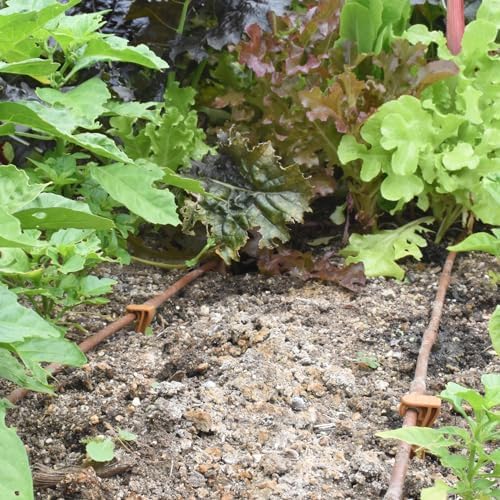 DIG ML-109B ¼” 100’ MICROLINE™ Dripline, 9” Dual Outlet Emitter Spacing, UV-Resistant Tubing for Efficient Irrigation | Ideal for Raised Beds, Gardens | Flexible, Durable, Easy Installation (Brown)