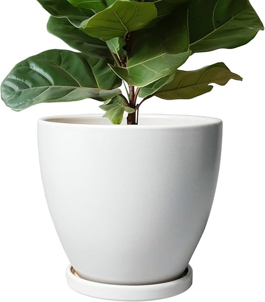 Ceramic Planter - 10 Inch Plant Pot with Drainage Hole and Tray, Flower Pot Planters for Indoor Plants, Modern Room Garden Patio Bathroom Living Room Porch Home Decor， White