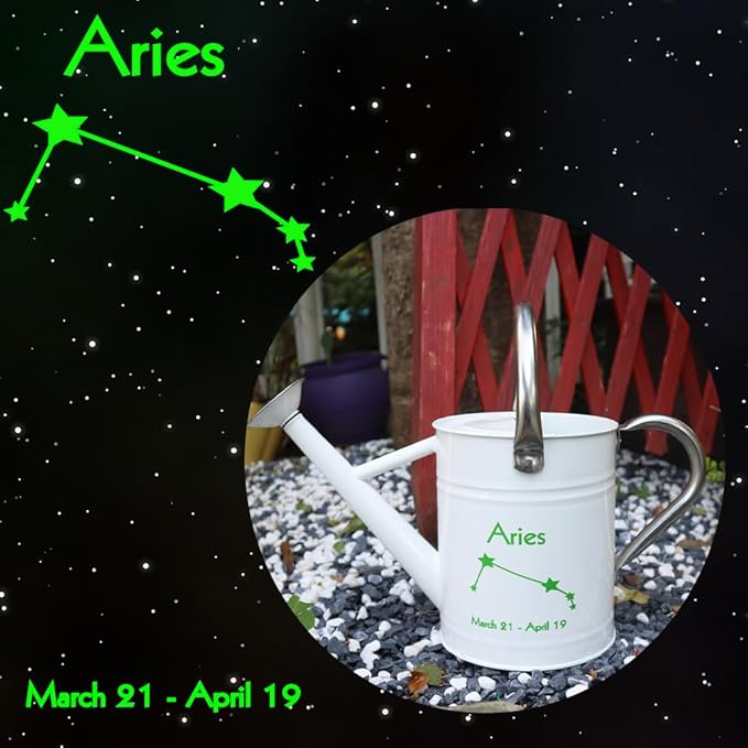 Metal Watering Can for Outdoor and Indoor Plants, Watering Can Decor, 1 Gallon (Aries)