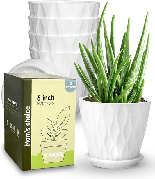 6 Inch Indoor Planter Pots with Drainage Hole and Tray Saucer,Flower Pots for Indoor Outdoor Garden Plants and Flowers, Multicolor, 5 Packs (White)