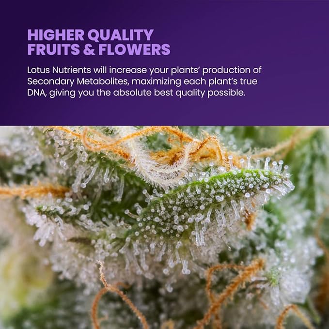 Lotus Nutrients Grow Pro Series, All Natural Premium Powdered Plant Nutrients for Fast Veg Growth and Massive Roots, Made for Hydroponic, Coco Coir, and Soil for Indoor and Outdoor Gardens (64oz)
