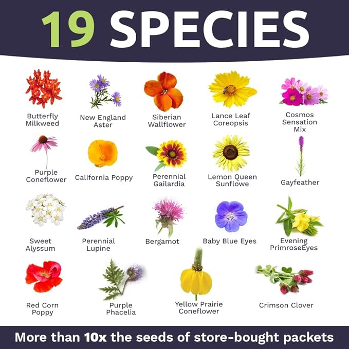 Bee Friendly Wildflower Seed Mix - Bulk 1 Ounce Packet - Over 7,500 Open Pollinated Seeds - Save The Bees!
