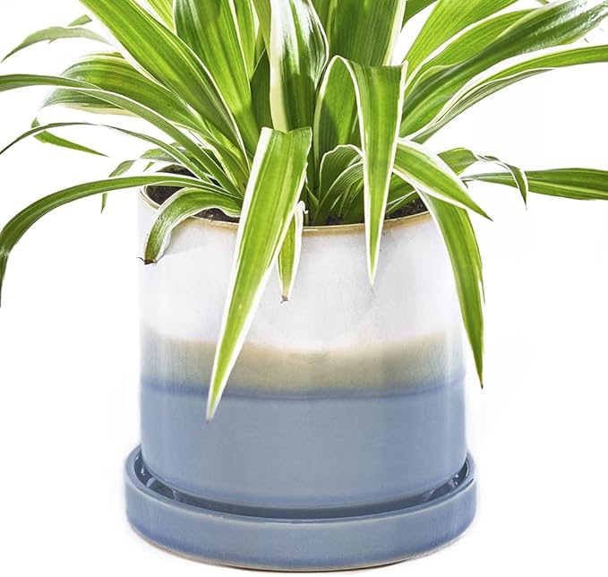 CHIVE ‘Minute’ Ceramic Planter Pot — Cute 5” Colorful Succulent Pots for Indoor & Outdoor House Plants — Beautiful Modern Farmhouse Kitchen Decor — Blue Layer