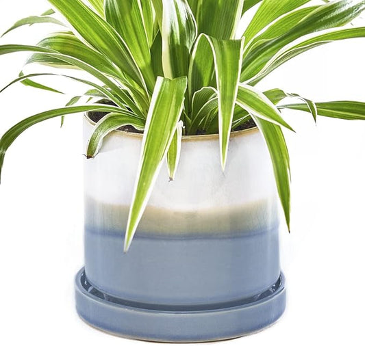 CHIVE ‘Minute’ Ceramic Planter Pot — Cute 5” Colorful Succulent Pots for Indoor & Outdoor House Plants — Beautiful Modern Farmhouse Kitchen Decor — Blue Layer