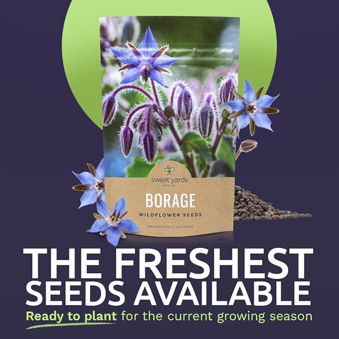 Borage Seeds – Bulk Quarter Pound Bag – Over 5,000 Open Pollinated Non-GMO Wildflower Seeds – Borago officianalis