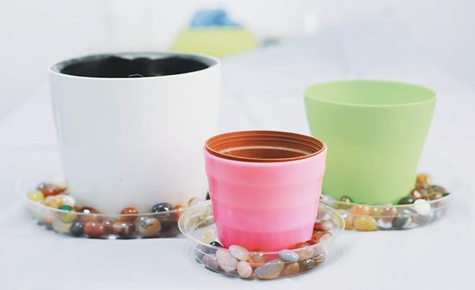 TRUEDAYS 12 Inch 5 Pack Clear Plant Saucers Flower Pot Tray Excellent for Indoor & Outdoor Plants