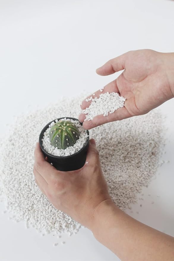 2 Quart Organic Perlite Horticultural Soil Amendment for Plants and Enhanced Drainage Enhanced Growth Organic Perlite Soil for Healthy Root Development