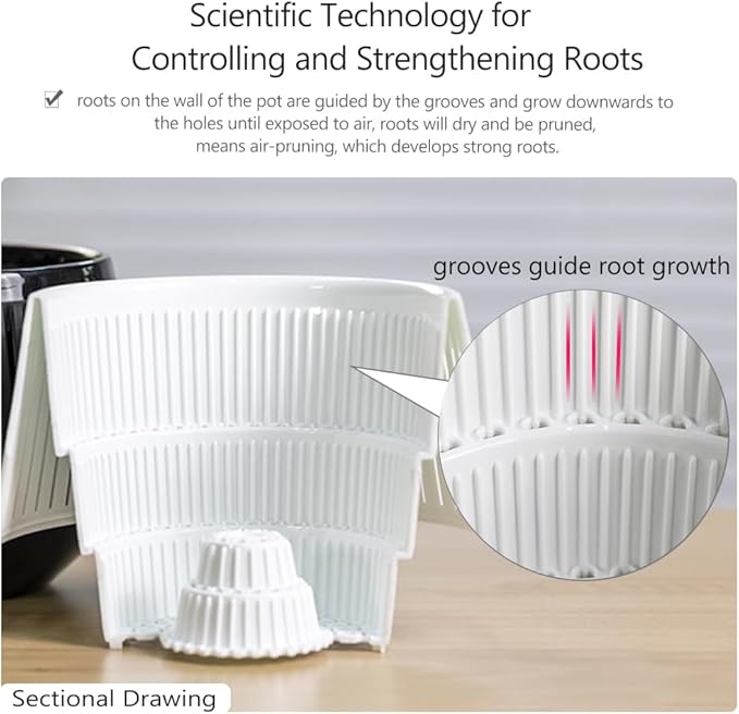 5 inch Orchid Pots with Holes for Repotting,Set of 1,Decorative Orchid Planter with Air-Pruning and Good Air Circulation,Plastic White Orchid Container with Saucers