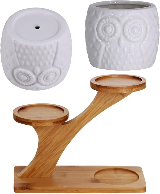 3pcs Owl Succulent Pots with 3 Tier Bamboo Saucers Stand Holder - White Modern Decorative Ceramic Flower Planter with Drainage - Home Office Desk Garden Mini Cactus Plant Pot Indoor Decoration