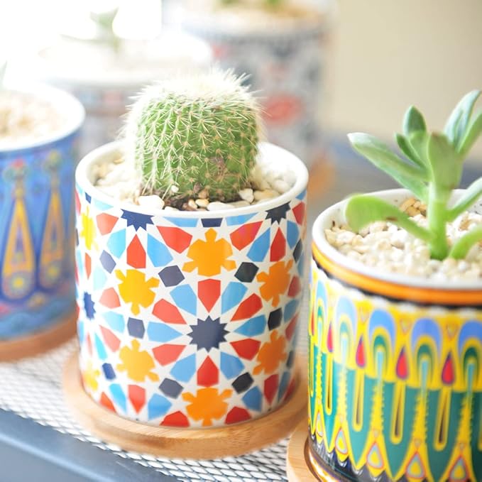 6 Pack Mandala Succulent Plant Pot with Bamboo Trays, Ceramic Multicolored Succulent Container Planter Pot for Small Plant