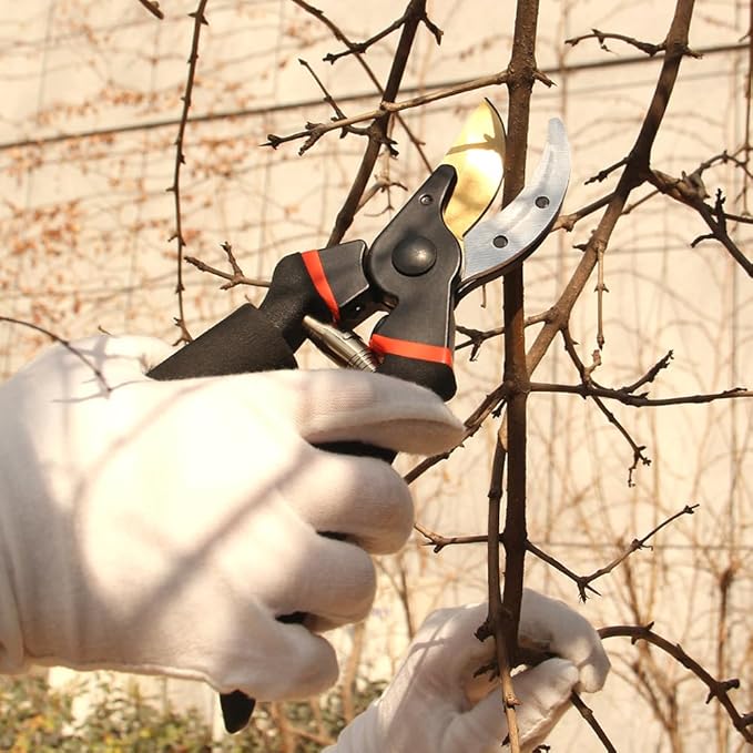 8.5" Titanium Bypass Pruning Shears (T-1008), Garden Clippers, Super Sharp Professional Hand Pruners for Gardening, Heavy Duty Handheld Pruners