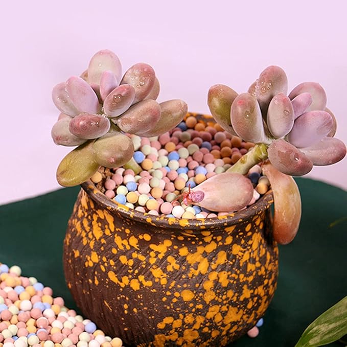 6LBS Clay Pebbles Gardening Ceramsite Orchid Rocks Drainage Water Purification Ceramsite Decor Cultivation Soil Stone Horticultural Grade for Soil Hydroponics Aquaponics