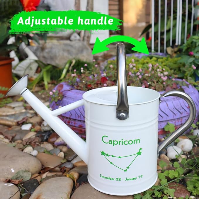 Metal Watering Can for Outdoor and Indoor Plants, Watering Can Decor, 1 Gallon (Capricorn)