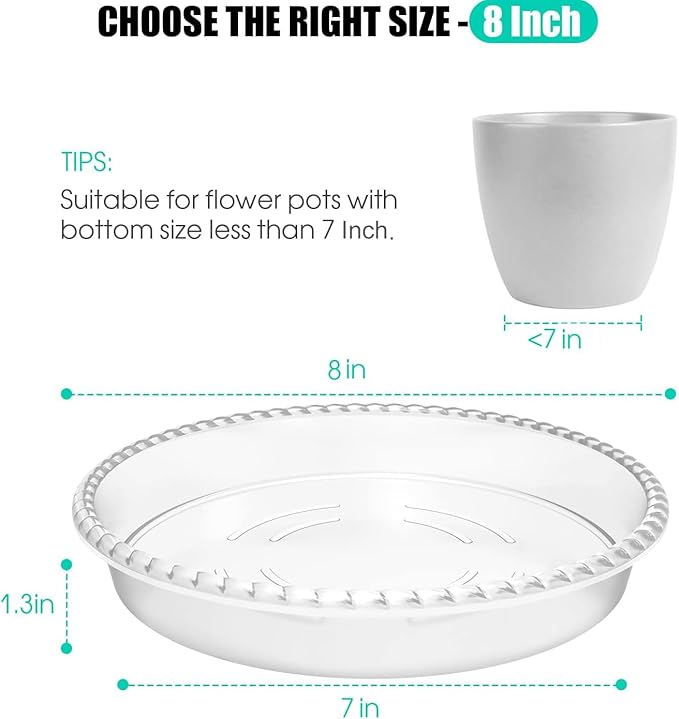 6 Pack Plant Saucer 6 8 10 12 14 Inch Plastic Plant Tray, Sturdy and Durable Flower Pot Container Accessories Plant Pot Saucers for Indoor and Outdoor (8 Inch, Clear)
