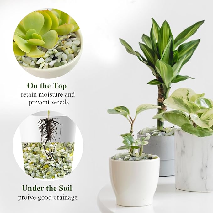 5 lbs Jade Pebbles for Indoor Plants,1/4 inch Polished Gravel Rocks for Plants, Succulents, Cactus, Vases, Terrarium, Fish Tank and Outdoor Gardening