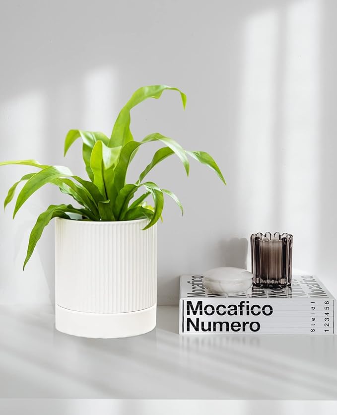 LaDoVita 3 Pack Ceramic Plant Pots 6/5/4 inch, Flowerpot for Indoor Plants with Drainage Holes and Tray, Outdoor Garden Planters, Modern Decorative for Home, White Vertical Stripes