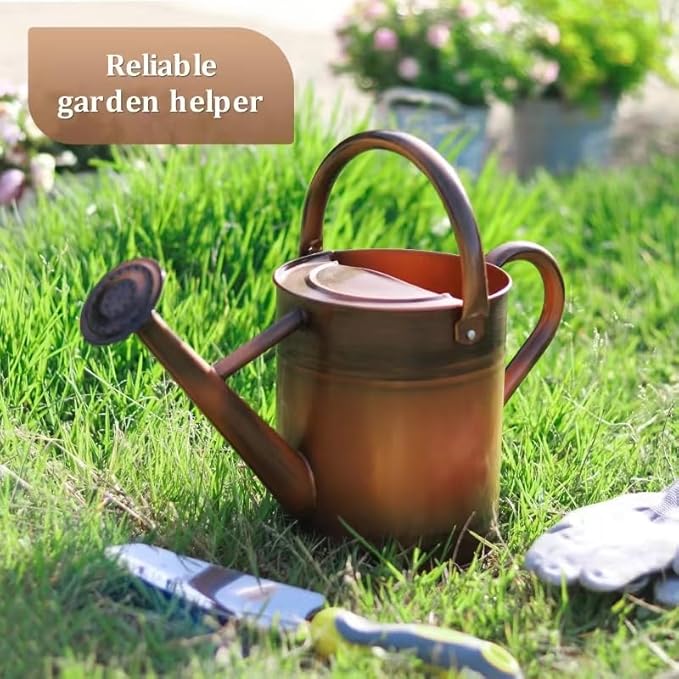 Watering Can for Outdoor Plants and Indoor Plants,1 Gallon Metal Watering Can for Garden Flower,Galvanized Steel Metal Water Can Watering Pot with Sprinkler Head