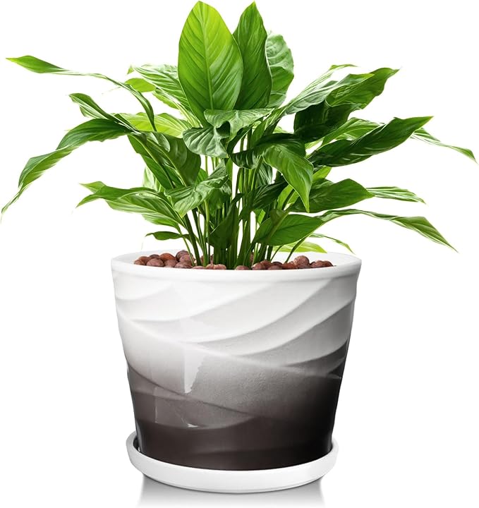 8 Inch Plant Pot, Ceramic Planter with Drainage and Saucer, Ceramic Pots for Plants, Indoor Plant pots,Ceramic Flower pots(Dark Gray+White)