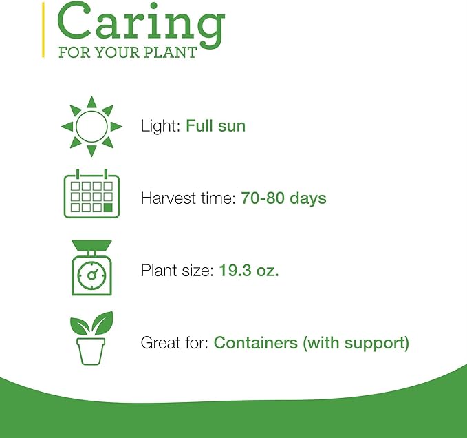 Bonnie Plants Red Bell Pepper Live Vegetable Plants - 4 Pack, Non-GMO, 2 - 3 Ft Plants, 4.5 x 4 Inch Pepper Size