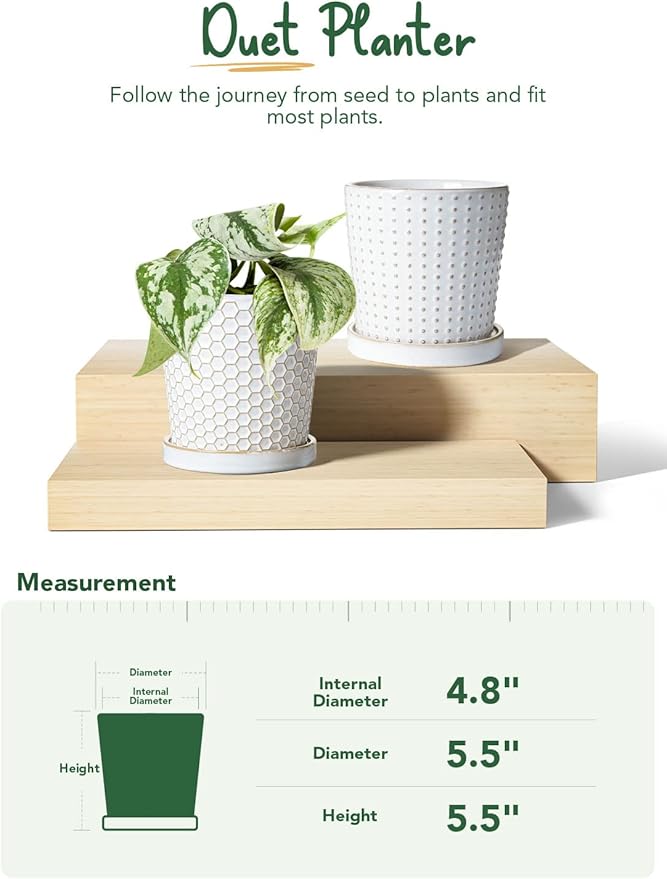 LE TAUCI Ceramic Plant Pots, 5.4 Inch Pots for Indoor Plants, Planters with Drainage Hole and Saucer, Flower Pots for Succulent, Snake Plants and Cactus, Set of 2, Reactive Glaze White