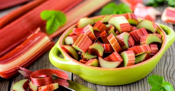 Rhubarb Seeds for Planting Pie Plant Rheum Australe About 50 Seeds