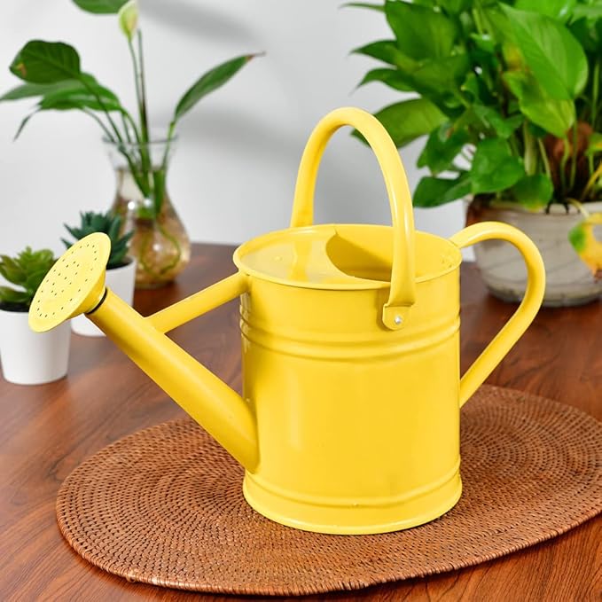 Metal Watering Can for Outdoor and Indoor Plants, Watering Can Decor, 1 Gallon (Yellow)