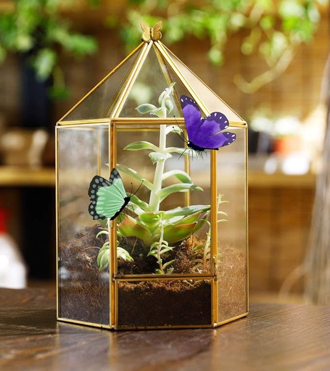 Glass Geometric Plant Terrarium,Succulent & Air Planter for Home Garden Office Decoration,No Plants(Gold Hexagonal)