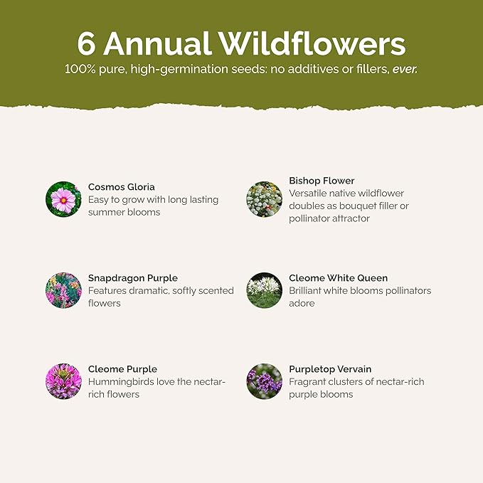 Eden Brothers Vintage Lace Flower Mixed Seeds for Planting, 1 oz, 30,000+ Seeds with Cosmos Gloria, Bishop's Flower, Snapdragon, Attracts Pollinators, Plant in Spring, Zones 3, 4, 5, 6, 7, 8, 9, 10