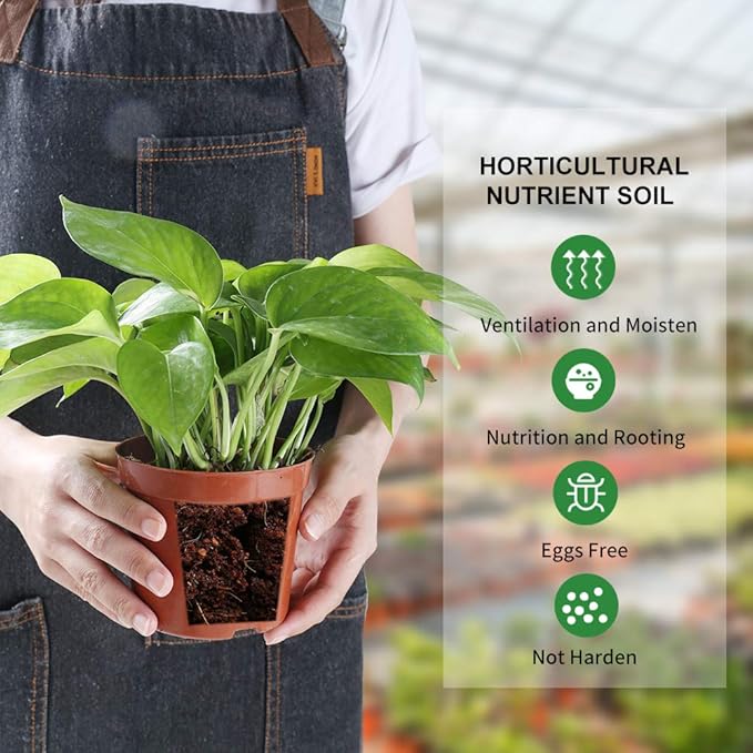 Coconut Coir Brick, 6 Pack 8.6 Pound Coconut Fiber Block, Organic Nutrition Soil for Plants and Flowers, Great Seed Bed (6)