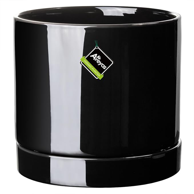 Aveyas 10 inch Ceramic Plant Pot with Drainage Hole and Saucer - Suitable for Indoor and Outdoor Use, Modern Planters for House Garden Flower Tree Snake Monstera Plants (10", Glossy Black)