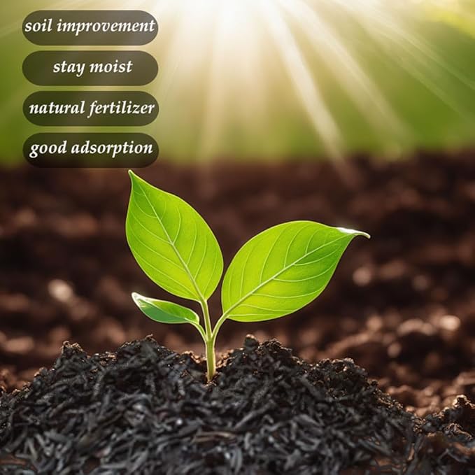 Horticultural Charcoal, Rice Husk Natural Activated Charcoal for Plants Indoor Biochar Soil Amendment Organic for Terrariums - 4.4 lbs