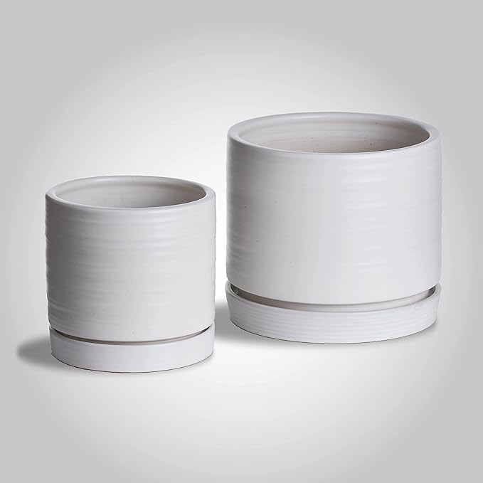 6 + 8 Inch Plant Pots, Ceramic Planter Pot with Drainage Hole & Saucer, Indoor/Outdoor Cylinder Round Planter Pot, Matte White