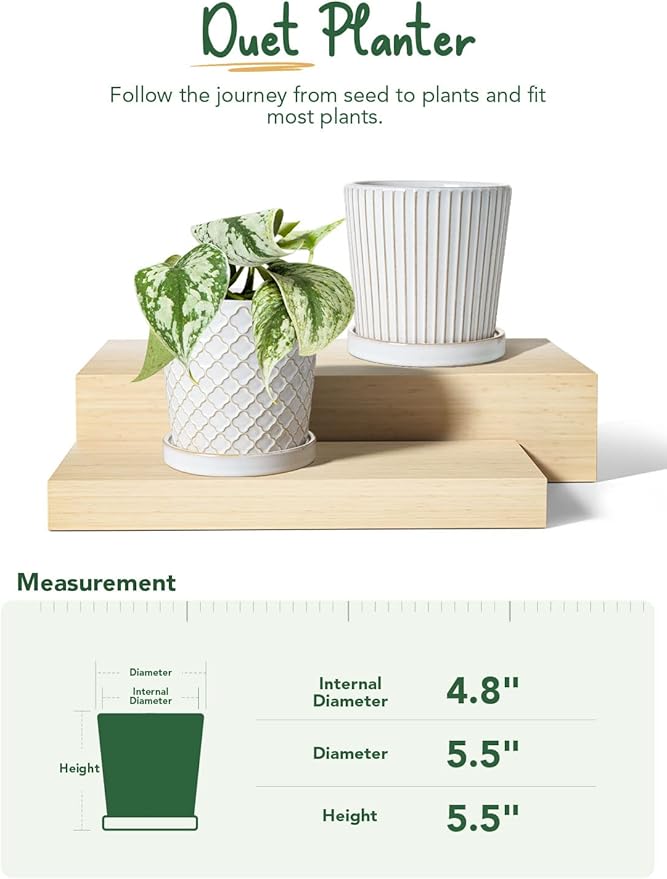 LE TAUCI Ceramic Plant Pots, 5.4 Inch Pots for Indoor Plants, Planters with Drainage Hole and Saucer, Flower Pots for Succulent, Snake Plants and Cactus, Set of 2, Reactive Glaze White