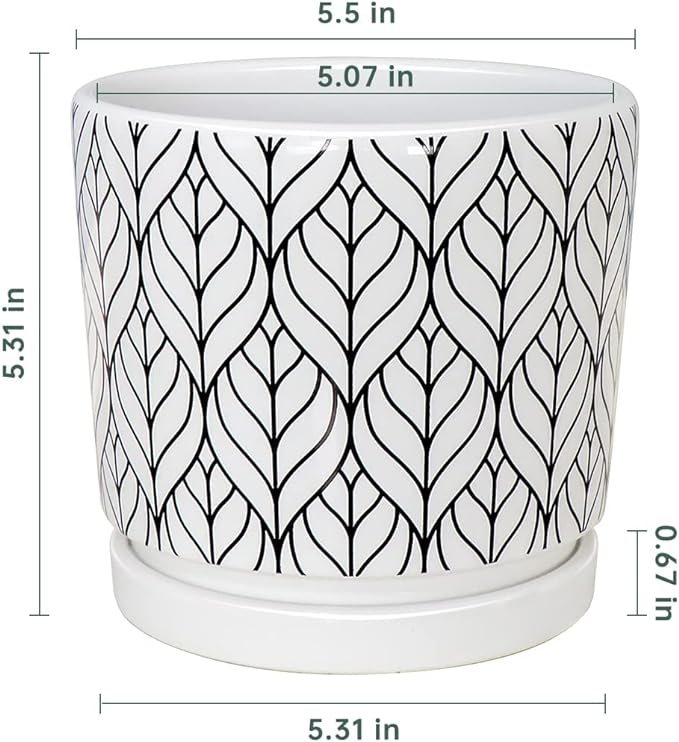 Ton Sin Plant Pots,5.5 Inch White Pots for Indoor Plants with Drainage Holes,Cylinder Flower Pot Ceramic Planters with Saucer,Cactus Succulent Outdoor Garden Pots Set of 4