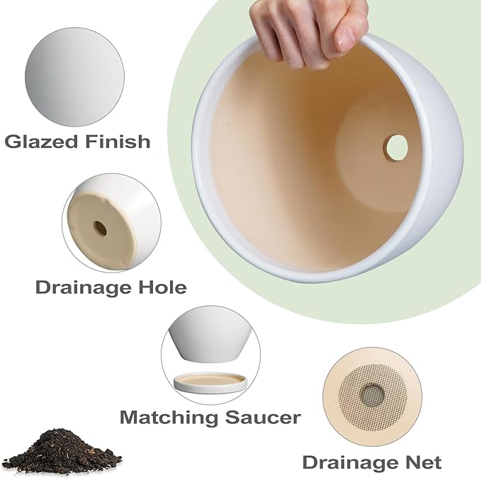 Ceramic Pots for Plants - 6 Inch Plant Pot with Drainage Hole and Saucer, Succulent Round Flower Planters for Indoor, Home Decor, White