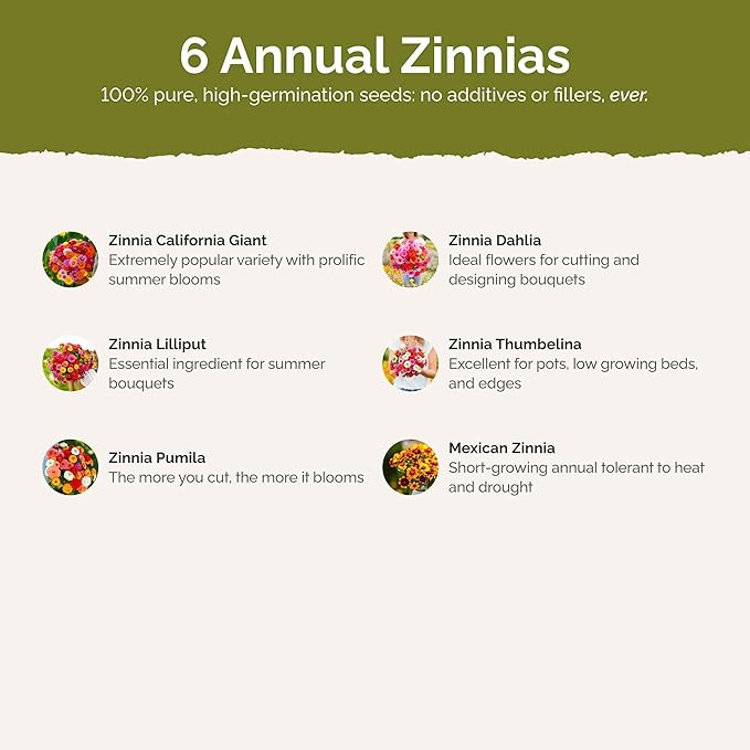 Eden Brothers Zin Master Flower Mixed Seeds for Planting, 1 lb, 480,000+ Seeds with California Giant, Mexican, Lilliput Zinnia | Attracts Pollinators, Plant in Spring, Zones 3, 4, 5, 6, 7, 8, 9, 10