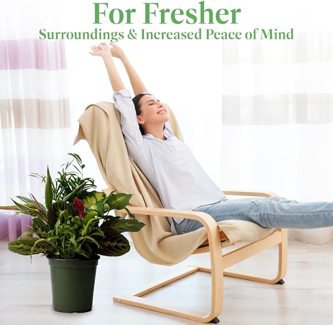 American Plant Exchange Live Dish Garden Assorted Foliage Plants, Ideal for Home and Garden Decor, 6" Pot