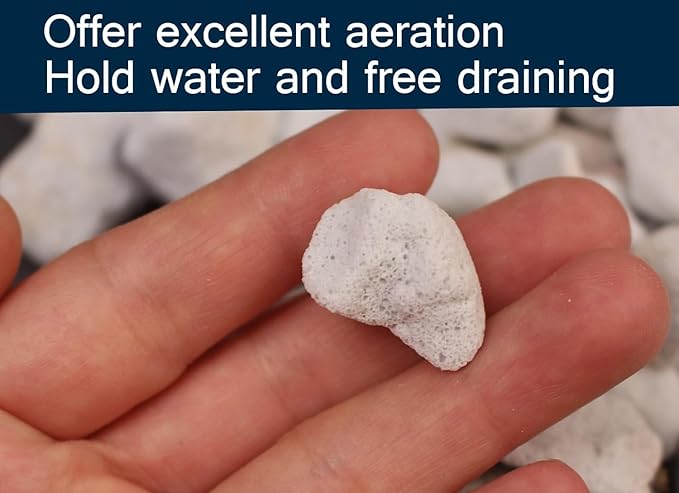 50 QT Professional Grade Horticultural Organic Vermiculite and Perlite (Large Size - Perlite, 50 QT)