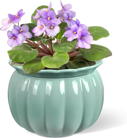African Violet Pots, 6 inch Pumpkin-Style Ceramic Easy Self Watering Plant Pot for Busy Plant Lovers, Automatically Absorb Appropriate Amount of Water, Flower Pot Indoor-Plants Not Included