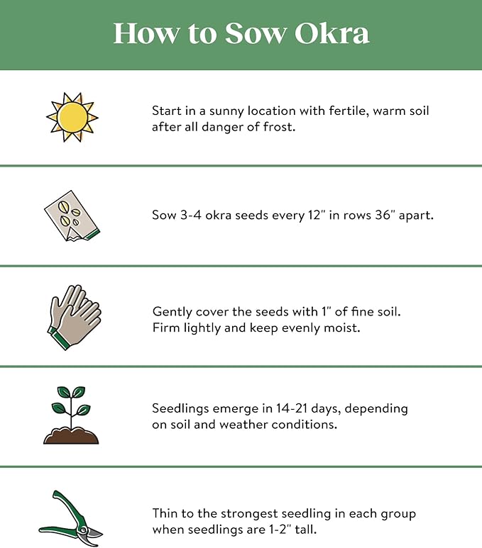 Burpee Baby Bubba Okra Seeds 60 seeds