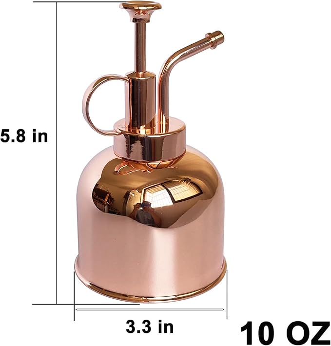 Plant Mister Spray Bottle Stainless Steel Plant Sprayer, Small Watering can Plant Spray Bottle Modern Gardening Tools for Indoor Potted Plants Watering and Spraying