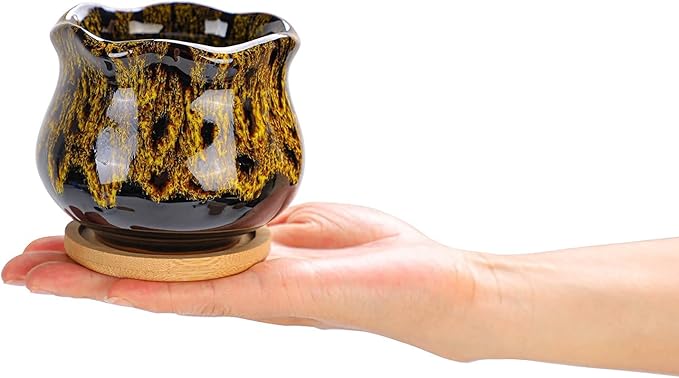 Cute Ceramic Succulent Garden Pots, Planter with Drainage and Attached Saucer, Set of 5 - Plants Not Included (Fambe)