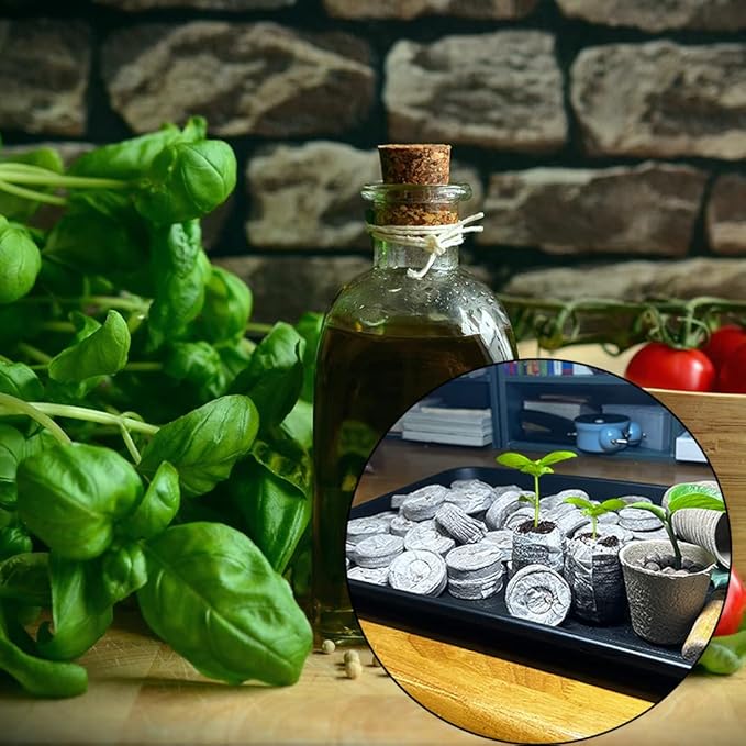 100 Pcs Peat Pellets Seed Starting Plugs Pellets Seedling Soil Block 30mm Nursery Soil for Indoors Garden Flowers Seedling Planting Seeds Starter Pellet for Transplanting Planting